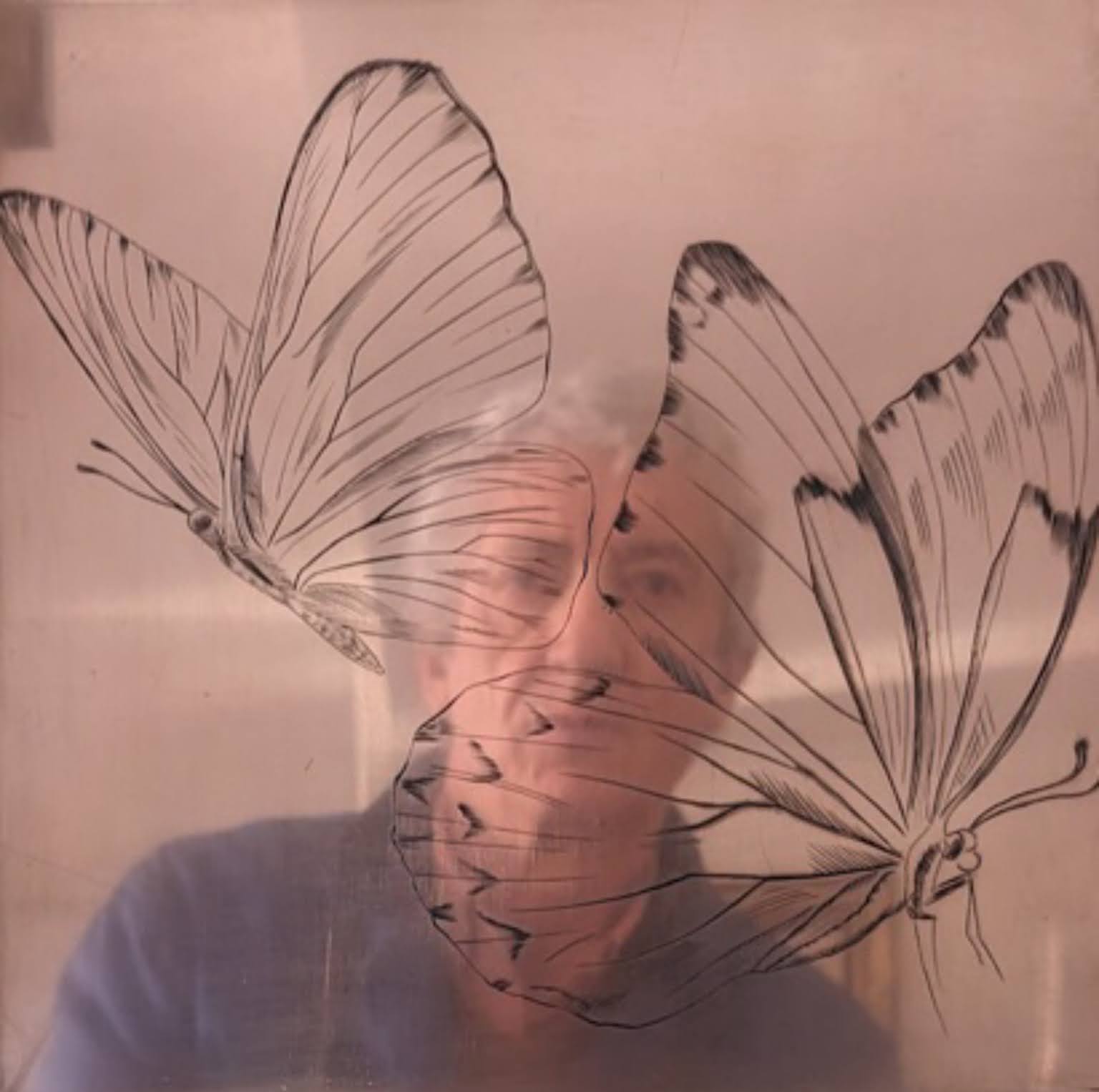 Pierre-Philippe Faisant derrière une plaque de papillons gravés au burin