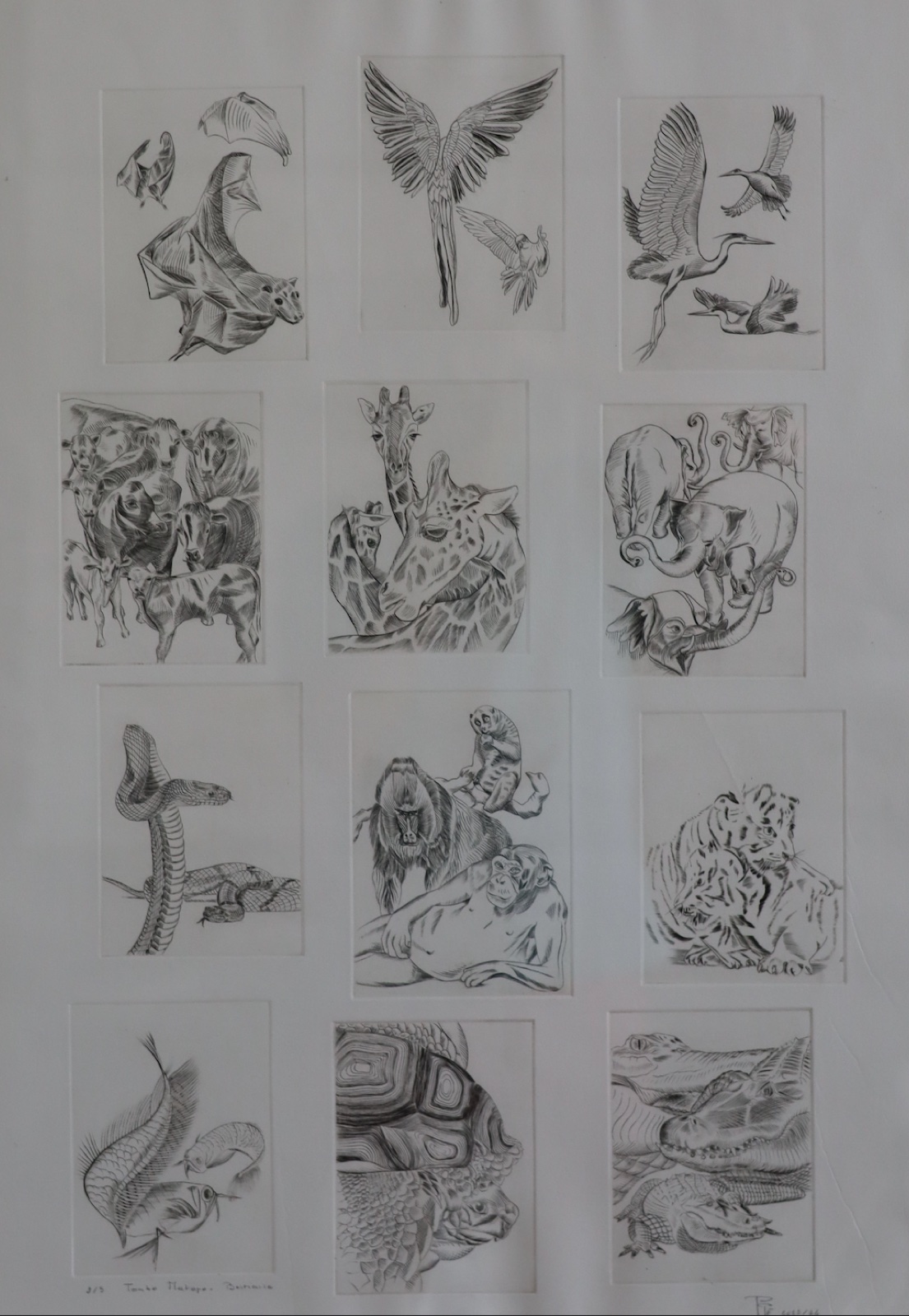 Bestiaire, Taille-douce