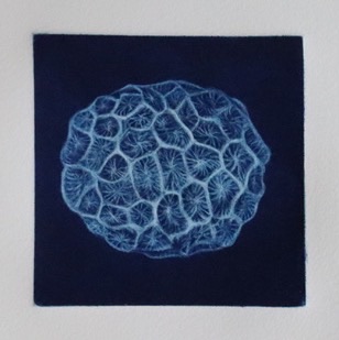 Corail, Manière noire