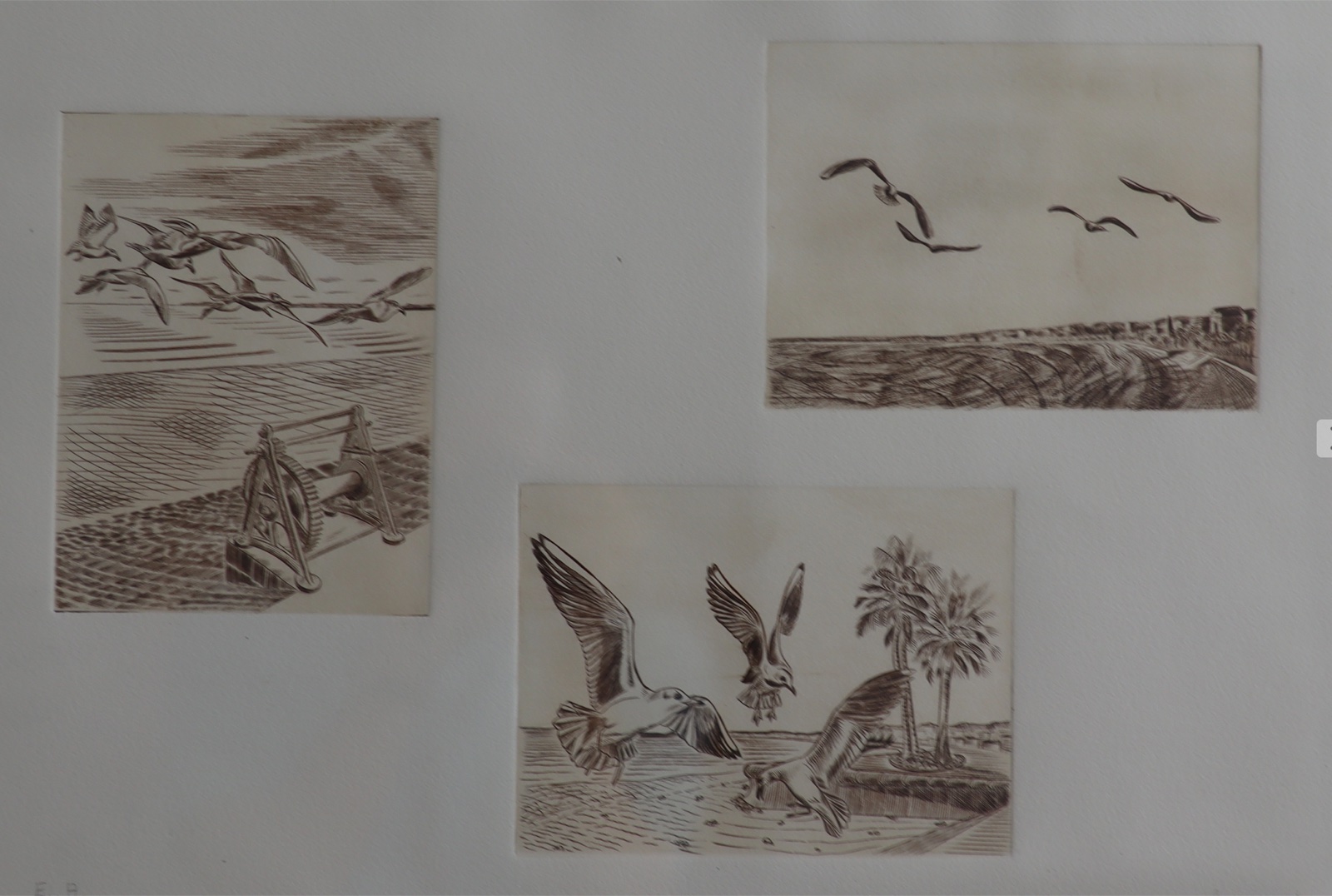 Les mouettes, planche I, Taille-douce