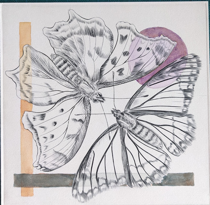 Deux papillons, cercle mauve, Eau-forte, aquatinte