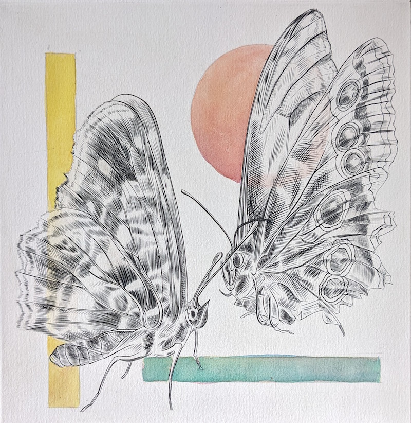 Deux papillons, ocelles et cercle rose, Eau-forte, aquatinte