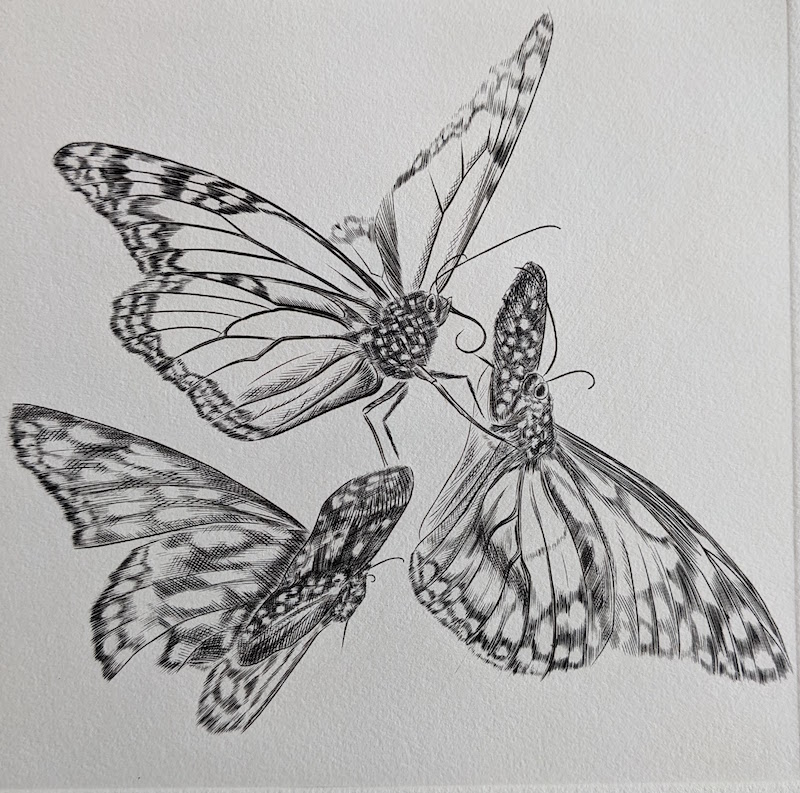 Trois papillons, Burin