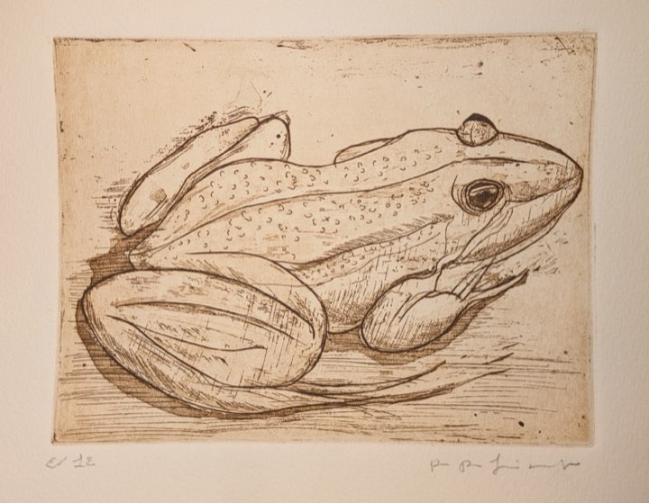 Souvenirs de Normandie, une grenouille couchée