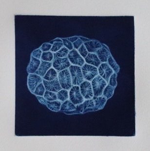 Corail, Manière noire