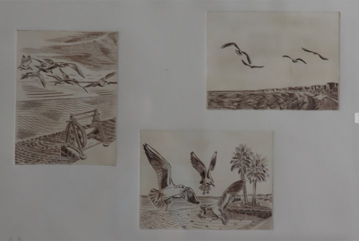Les mouettes, planche I, Nice, les mouettes