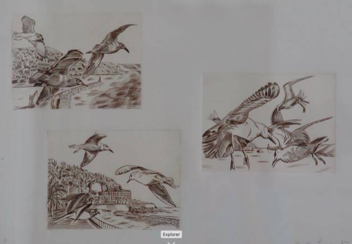 Les mouettes, planche II, Nice, les mouettes