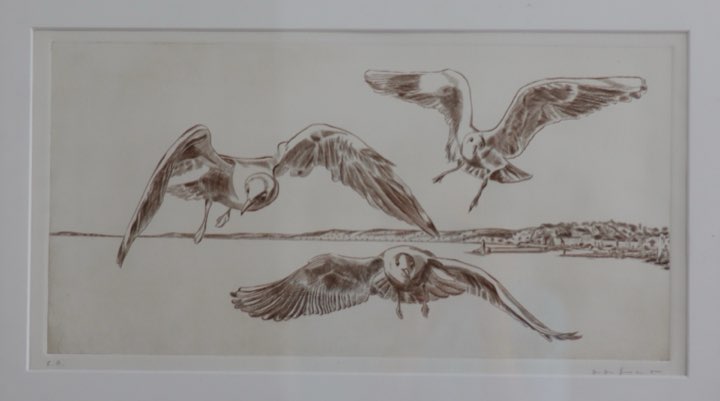 Trois mouettes sur le port, Nice, les mouettes