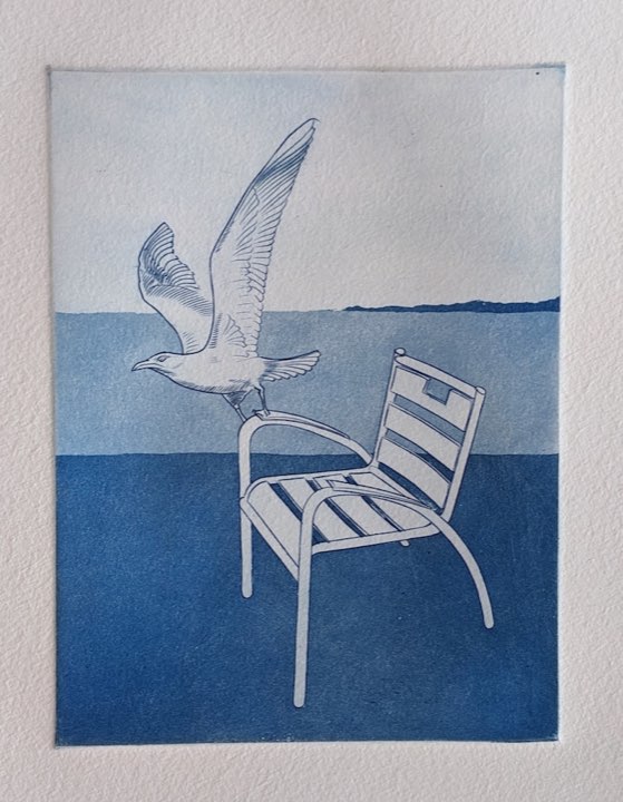 La chaise bleue, goéland, Taille-douce