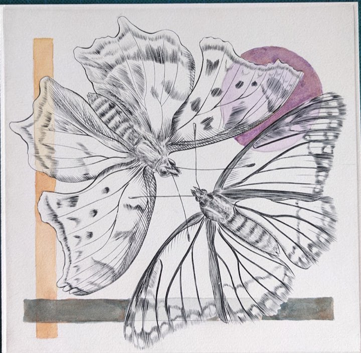 Deux papillons, cercle mauve, Eau-forte, aquatinte