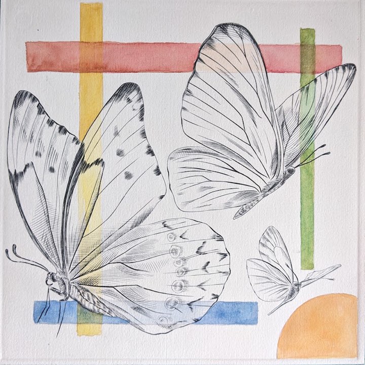 Trois papillons, barres de couleur, Eau-forte, aquatinte