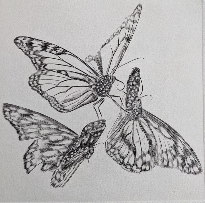 Trois papillons, Burin