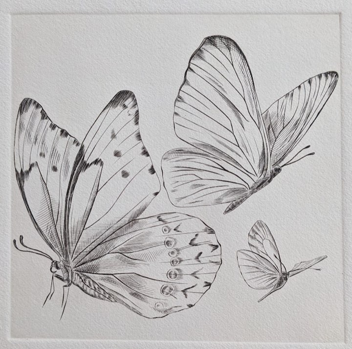 Trois papillons, petits et grands, Burin