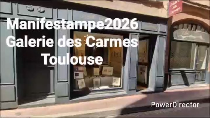 Galerie des Carmes, Toulouse, Vidéo